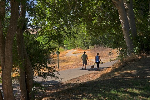 Photo by Richard Thornton