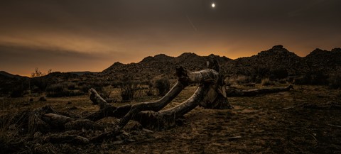 Photo by reinaroundtheglobe