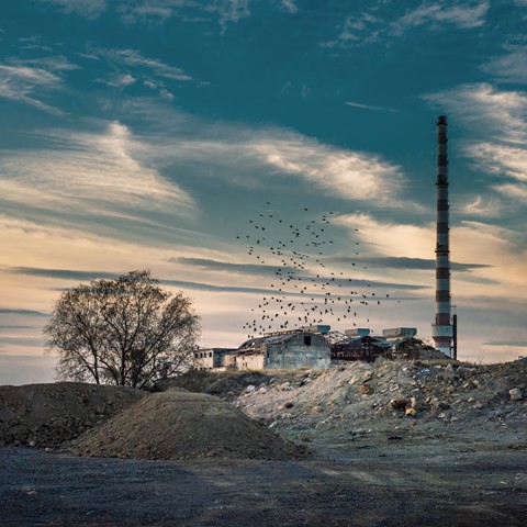 Photo by RoyBatty888