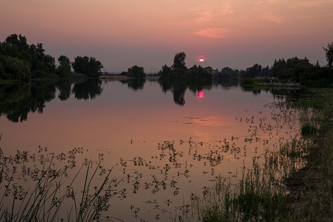 Photo by Richard Thornton