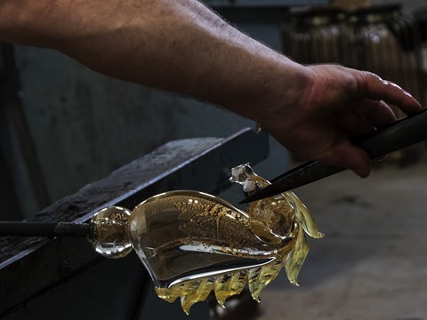 Photo by Shaping the Glass !