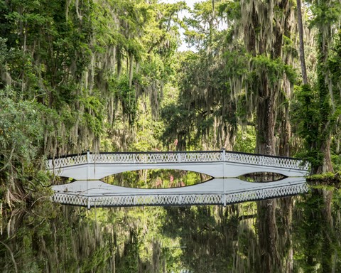 Photo by Rockwallrick