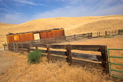 Photo by Richard Thornton