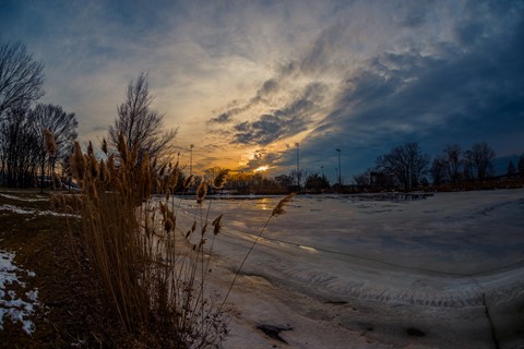 Photo by lickity split