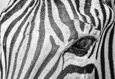 Photo by Heshamenco1968