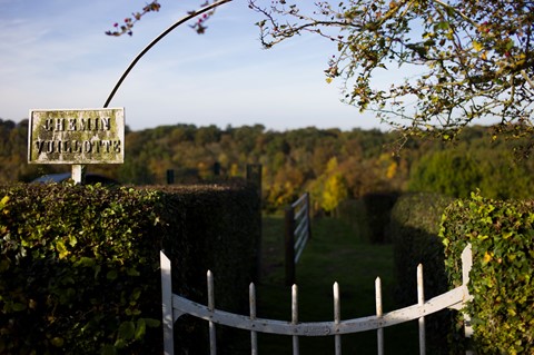 Photo by Imo Pectore