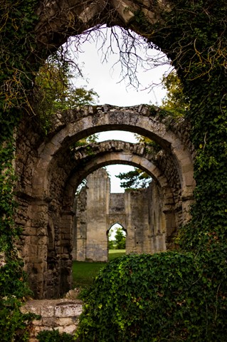 Photo by Imo Pectore