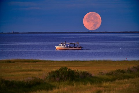 Photo by tn_Morning Crabbing