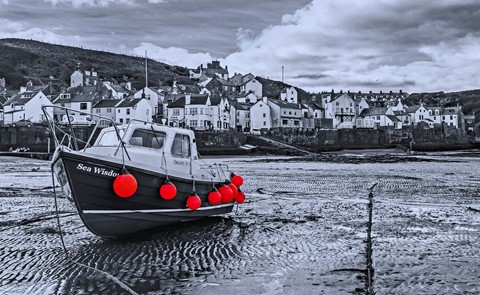 Photo by donaldc2017