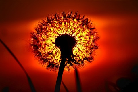 Photo by StefanUllmann