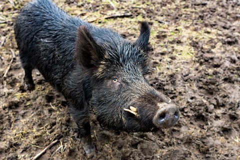 Photo by Bodkins Best Photography