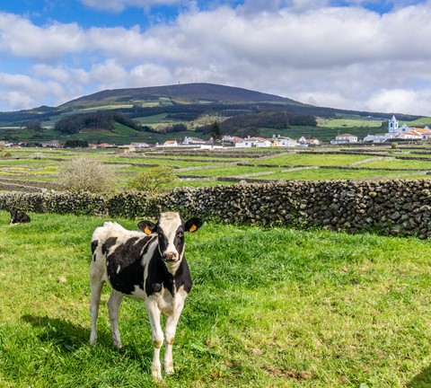 Photo by LouisKruger