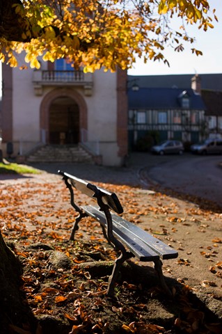 Photo by Imo Pectore