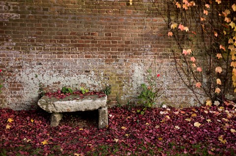 Photo by Imo Pectore