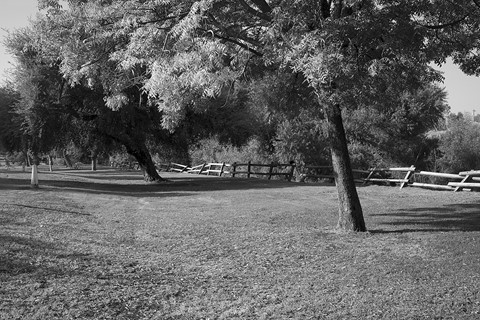 Photo by Richard Thornton