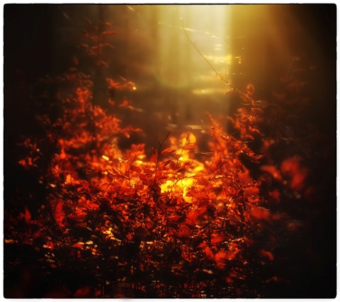 Photo by Orange explosion