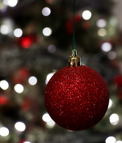 Photo by saylorgrace