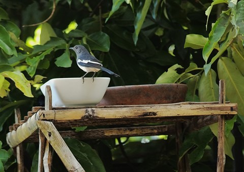 Photo by MiguelSanArchangel