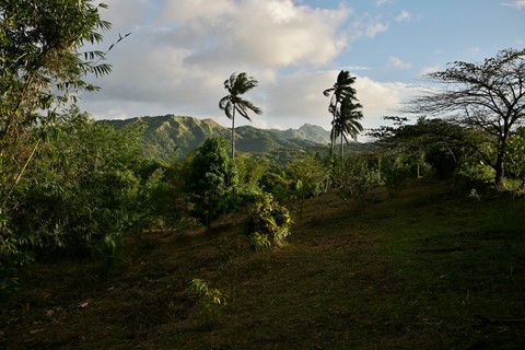 Photo by MiguelSanArchangel