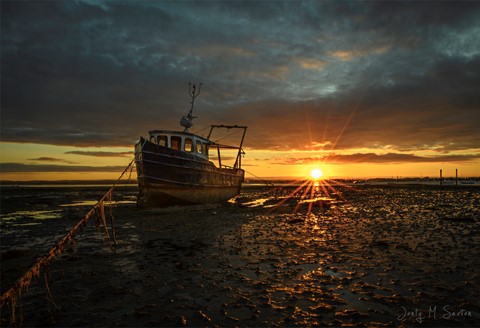 Photo by Ansel Spear