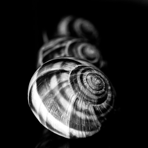 Photo by John Sakalis