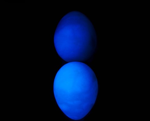 Photo by Evan Verbraska