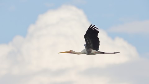 Photo by searching_eyes