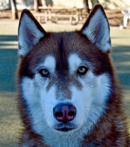 Photo by jacqueparees