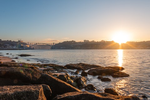 Photo by Davidabsilva