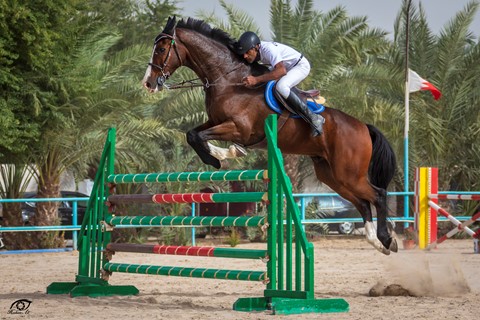 Photo by Heshamenco1968