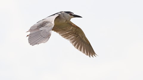 Photo by searching_eyes