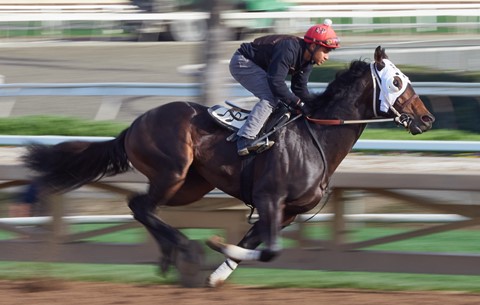 Photo by Morning training at Santa Anita Park
