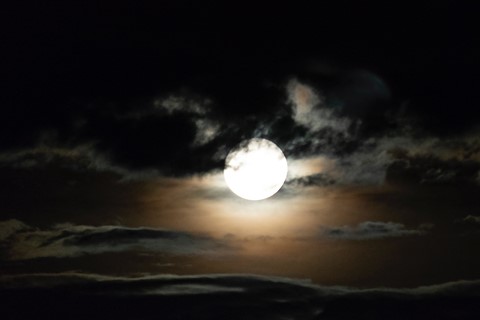 Photo by DieterTaipan