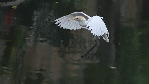 Photo by searching_eyes