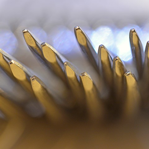 Photo by patrick daniels