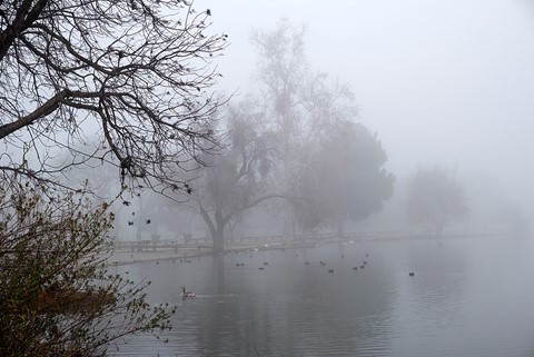 Photo by Richard Thornton