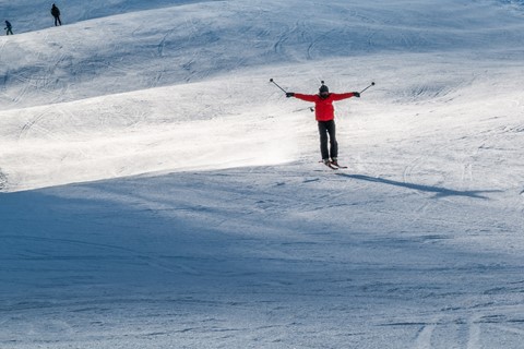 Photo by Irakly Shanidze