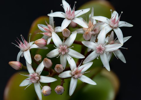 Photo by CuriousSerge