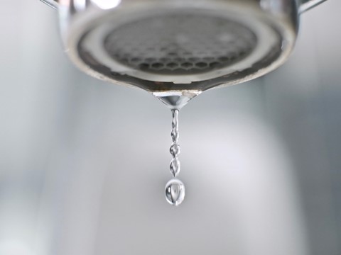 Photo by Barry  Twycross