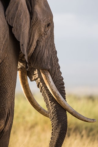 Photo by Karanja Njiiri