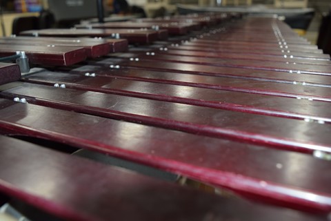 Photo by Alyssa Fechter