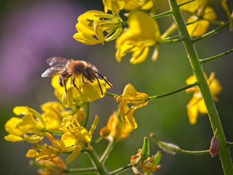 Photo by Holger Bargen