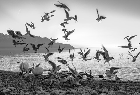 Photo by Marianne_Barnett