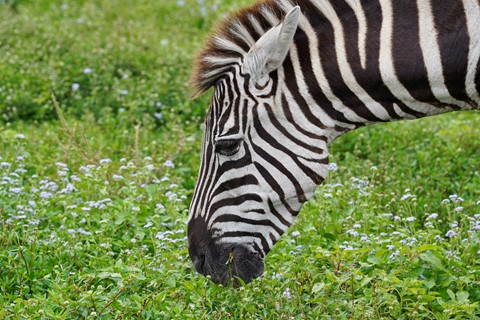 Photo by MikeTakesPix