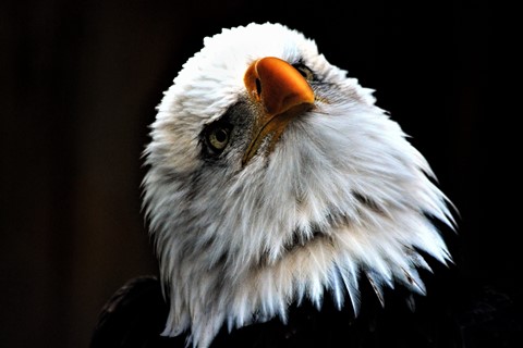 Photo by User5717333393