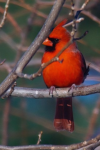 Photo by richard stern