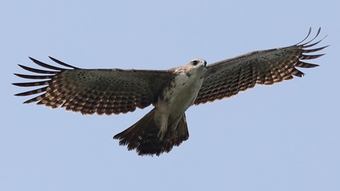 Photo by searching_eyes