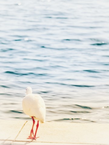 Photo by At The Lake