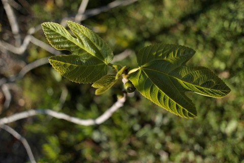 Photo by catastrophe