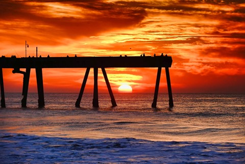 Photo by Pier Silhouette